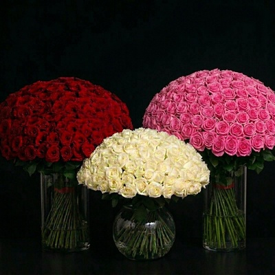 Roses in vase to istanbul