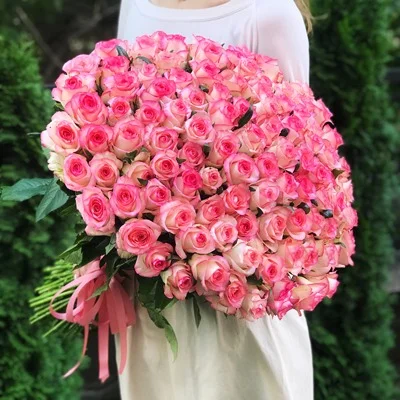 101 Pink Roses to Antalya