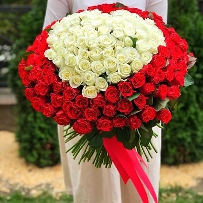 201 roses to Antalya