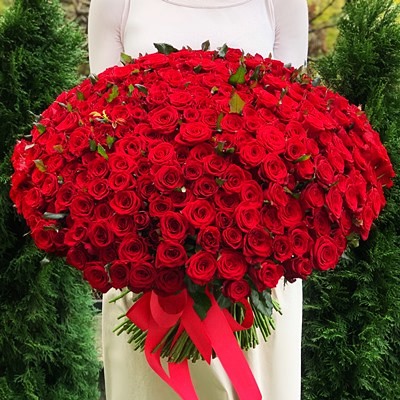301 red roses to Antalya