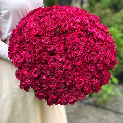 201 raspberry roses to Bodrum